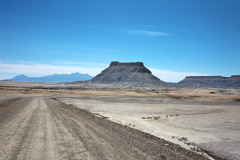 Bison : Antelope Island : Utah : Landscape Photos : Richard Moore : Photographer